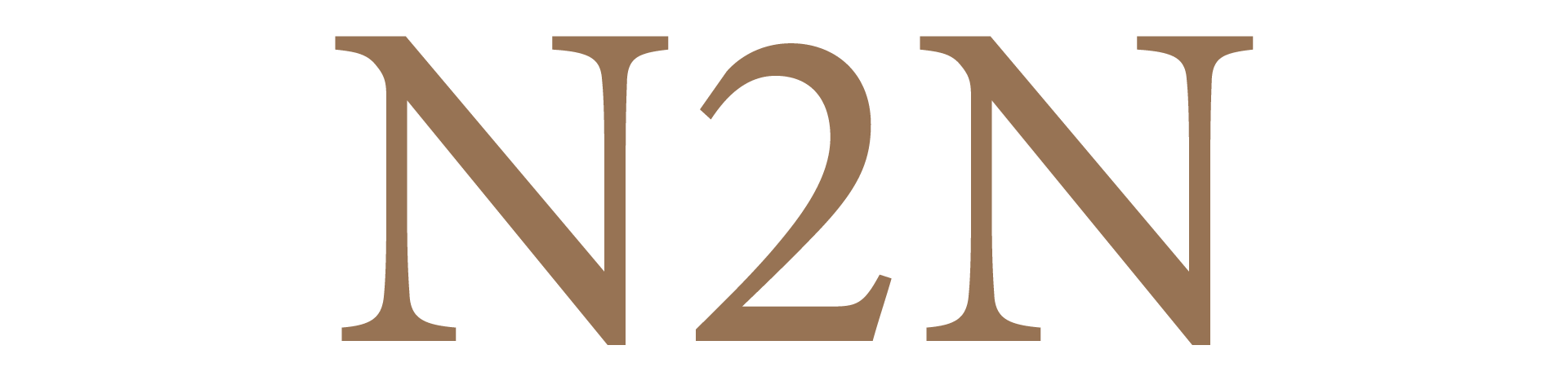 N2N